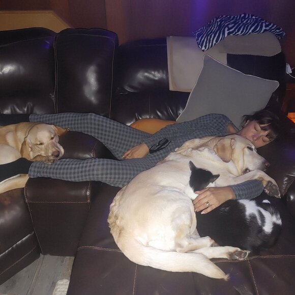 Lab Lounge Bundle - Picture 12 of 14